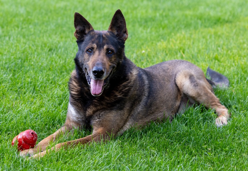 Massachusetts State Police tweet media