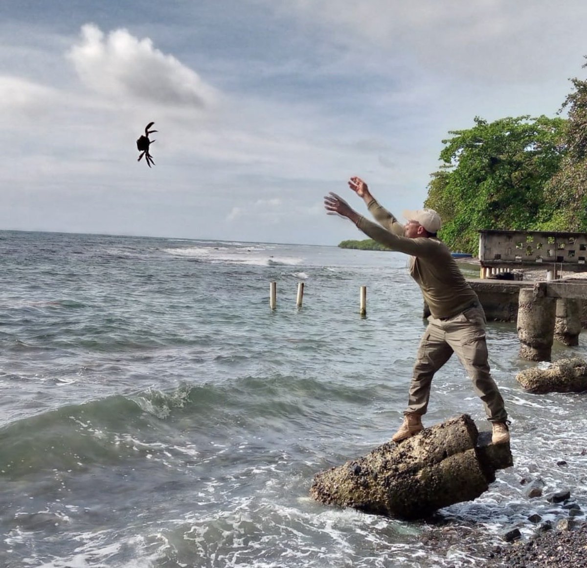 Francisco Jose  tweet media