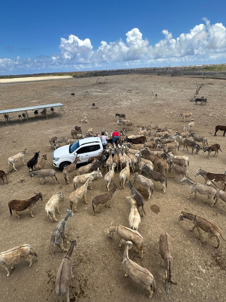 ⚓navyboy68⚓️ tweet media