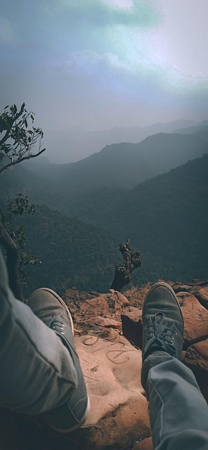 Tim Anderson tweet media