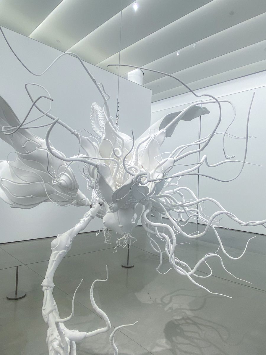 Lisanne Haack tweet media