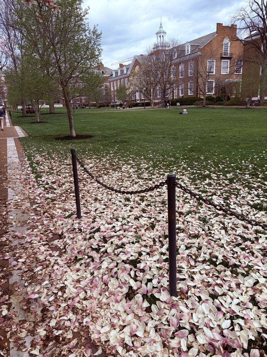 贝塔酱 tweet media