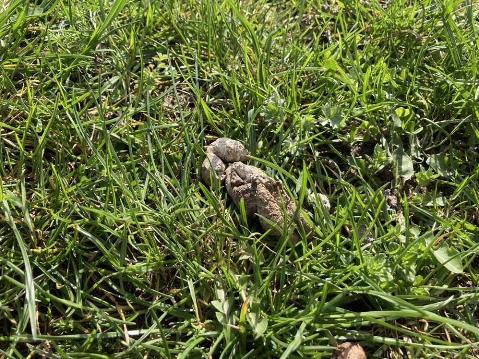 Radzimir tweet media