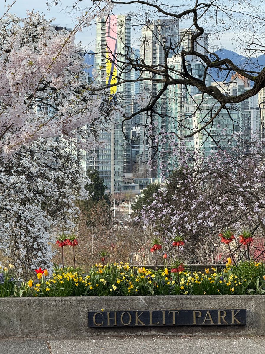 ParkBoard's tweet photo. Not a KitKat heist. Just a spring flex. https://t.co/sFUaEZtrXn