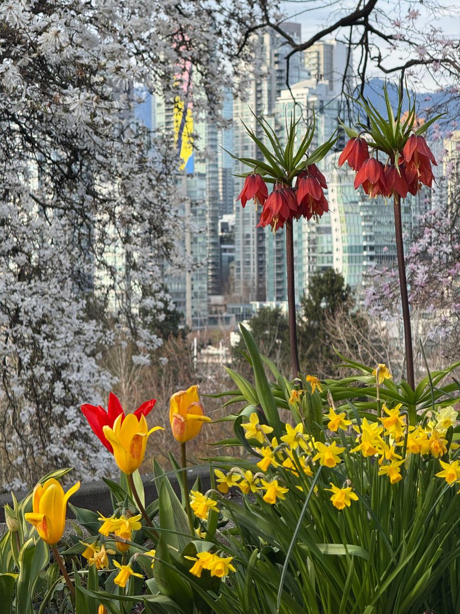 ParkBoard's tweet photo. Not a KitKat heist. Just a spring flex. https://t.co/sFUaEZtrXn