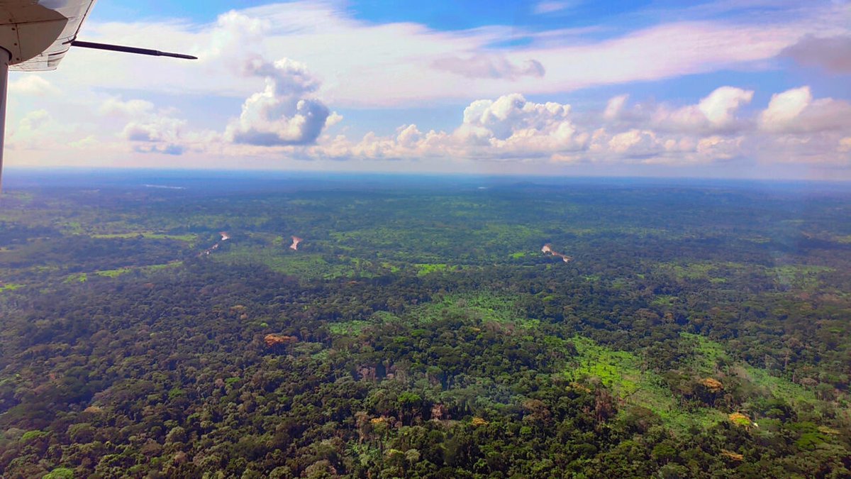 GrandReportageRFI tweet media