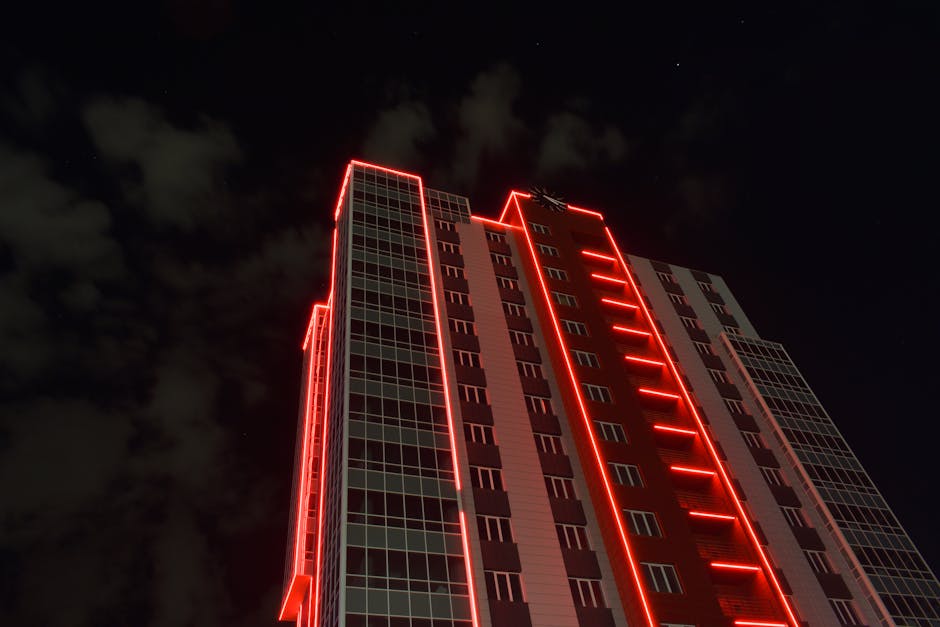 Leonida Romanson tweet media