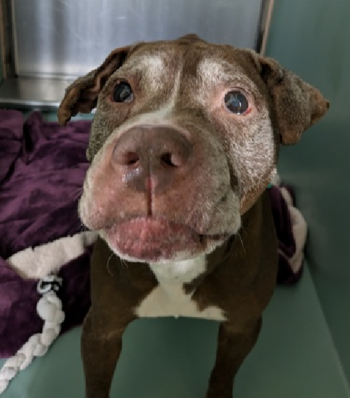 Cozy Paws🐾 tweet media