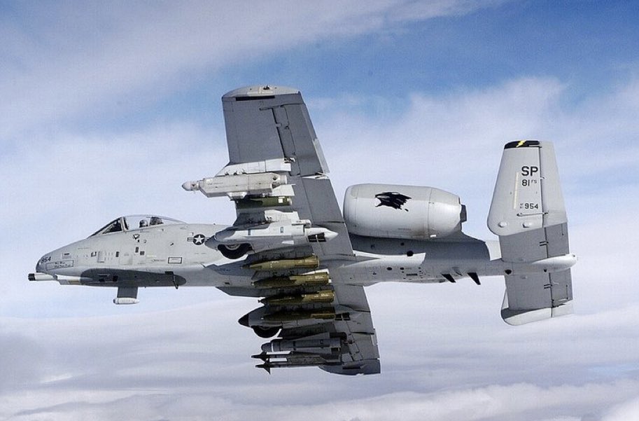 شاه ماهی گاماسیاب tweet media