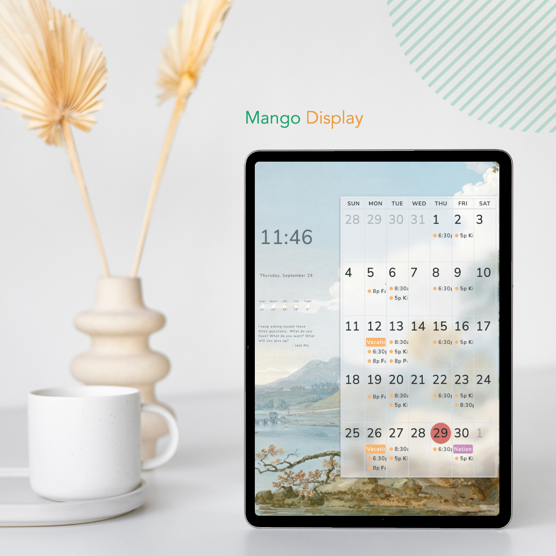 Mango Display tweet media