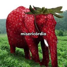 Star 💫 || CEO of TotalEclipse tweet media