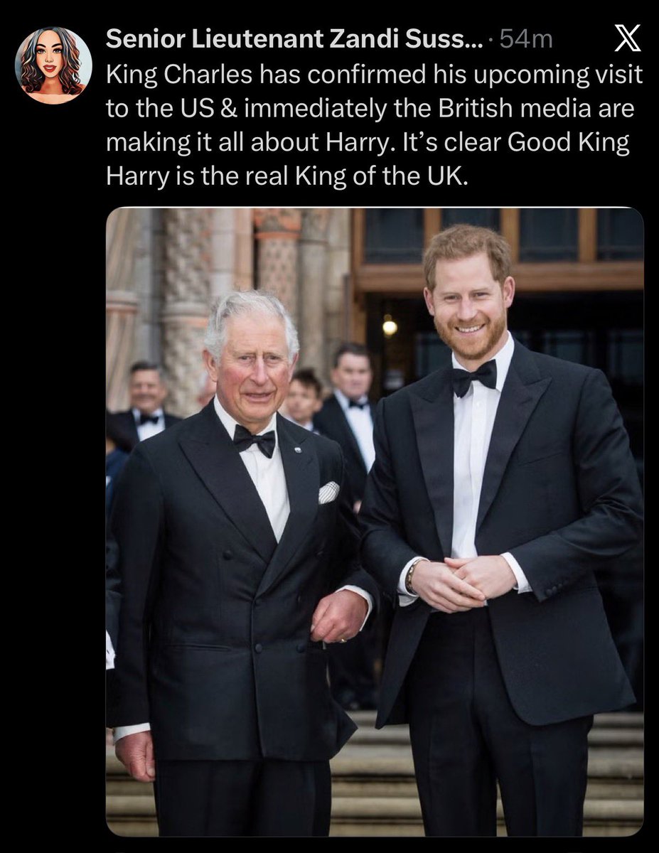 Harry, Meghan’s Spare tweet media