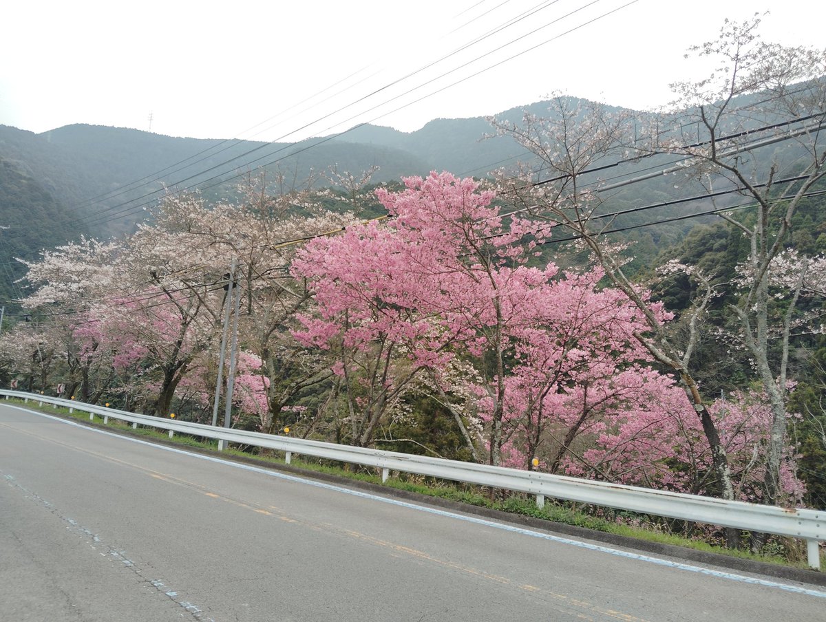 rerakukiro's tweet photo. おはようございます🌅

今日の朝学は、労一の学習をします✍️

リフレッシュ休暇中ですが、4泊の行程から帰って来て、昨日・今日は出勤日で一時帰休し、また明日から4泊の行程で出かけます🚃

長時間移動の動く自習室は捗ります📚🌸（笑）

#イタチャチャハウス
#2026度もよろしくお願いします https://t.co/GLB6SDI9HR