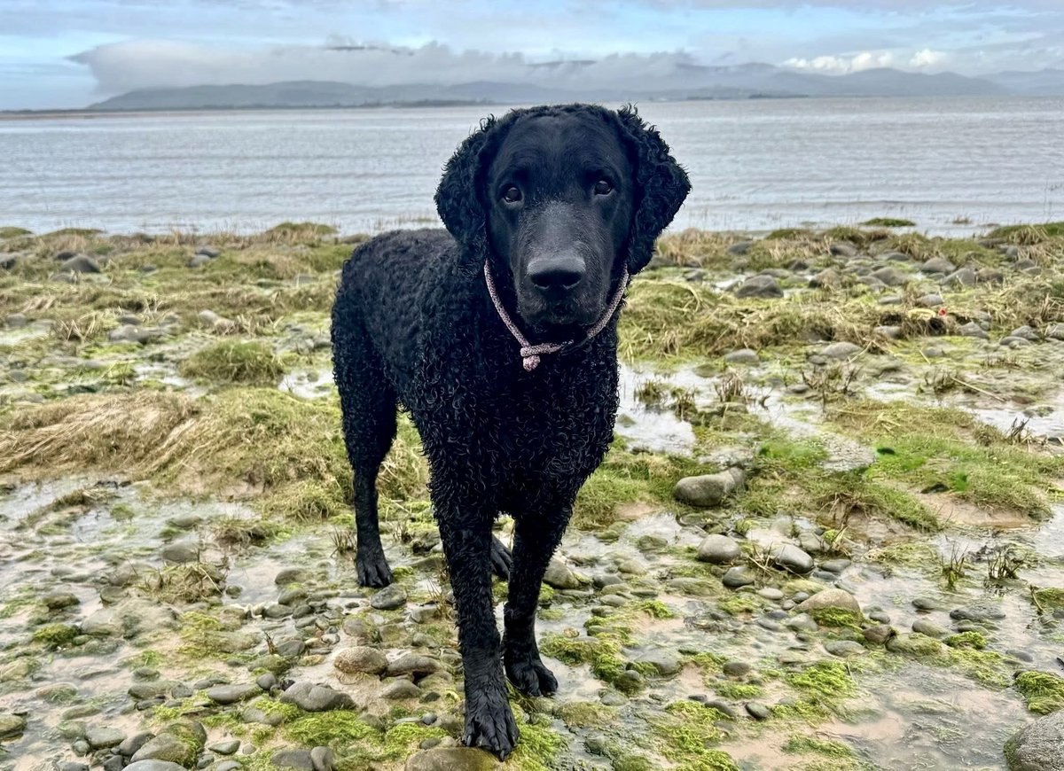 Colin Sutton 🇬🇧🩵 tweet media