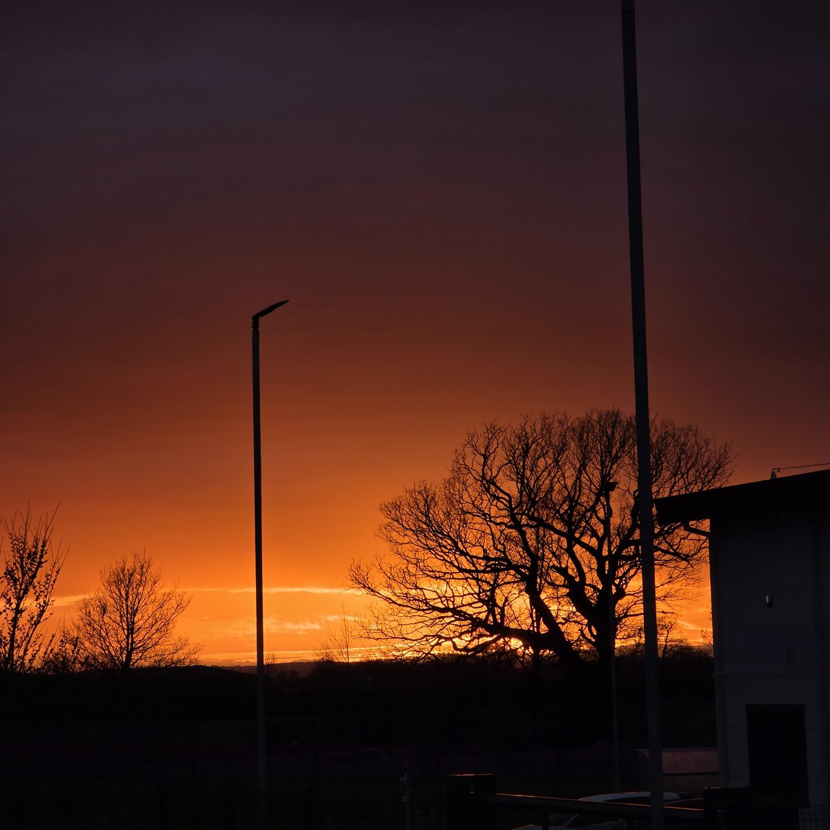 trucking about tweet media