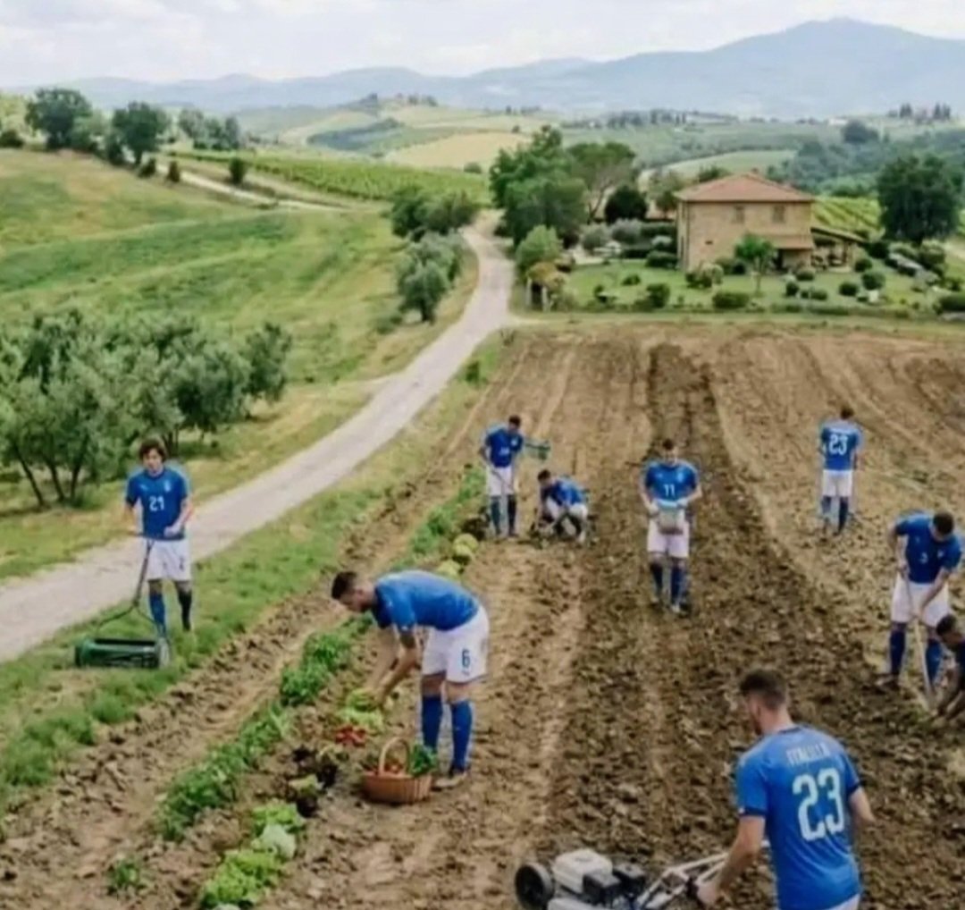 Grazia 🍓 tweet media