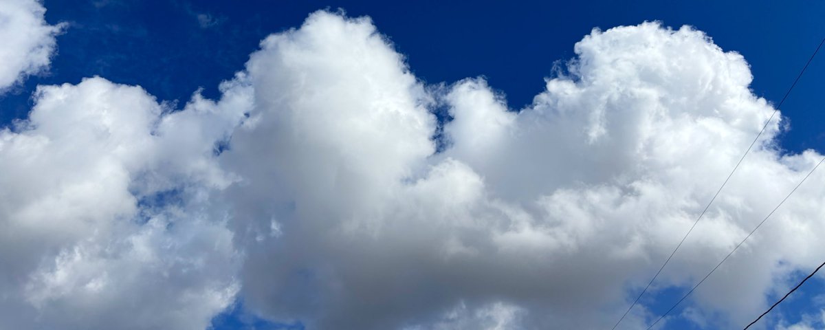 my name is no. tweet media