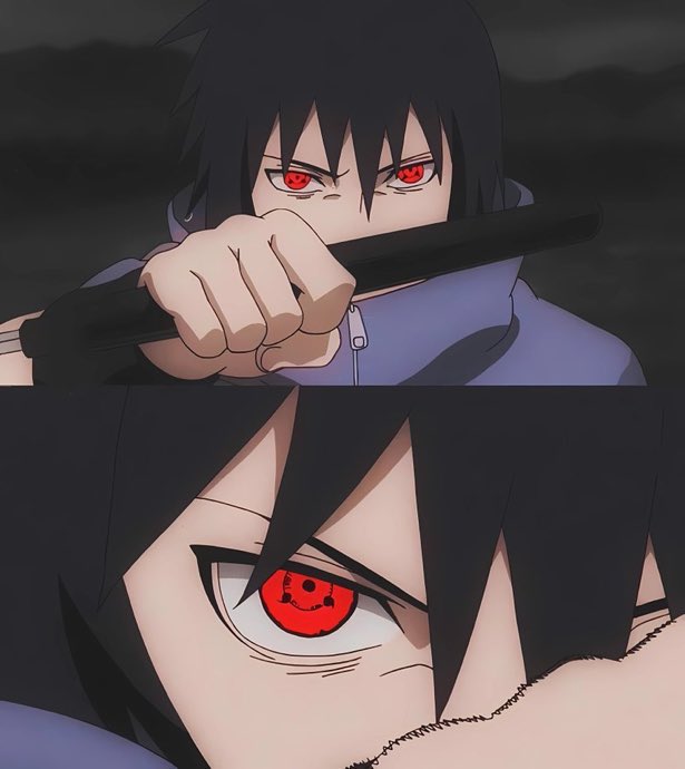 Sasuke Daily tweet media