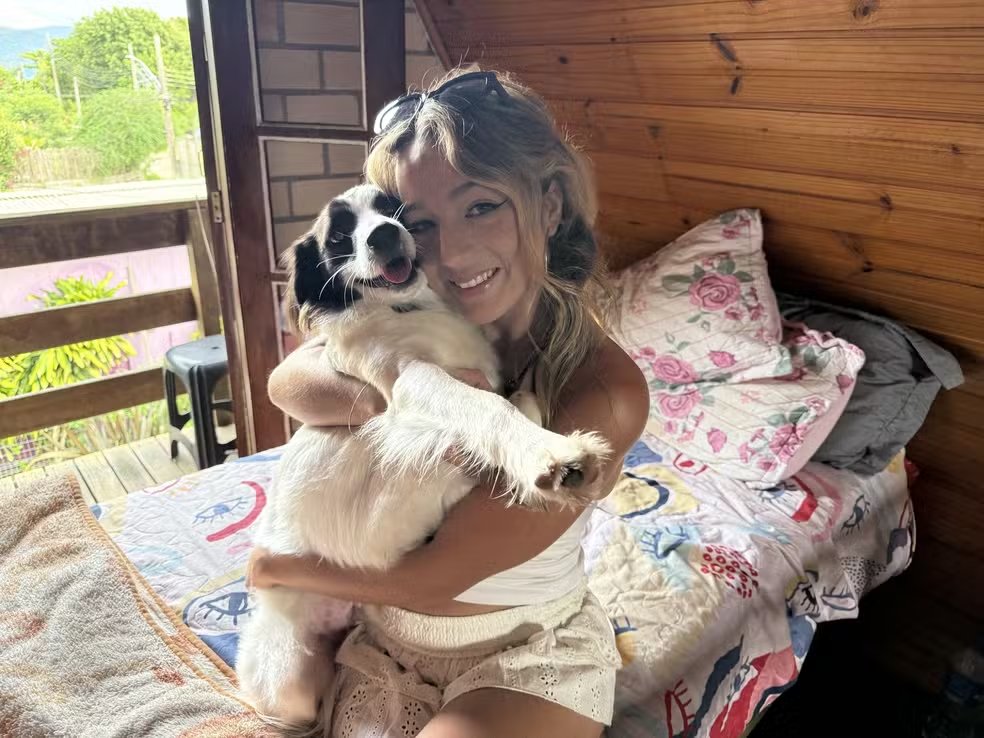 ncastro☭ tweet media