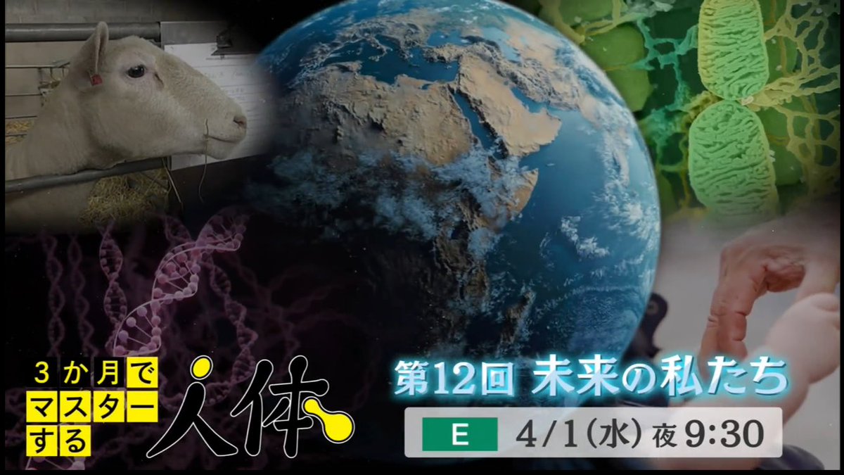 くらら tweet media