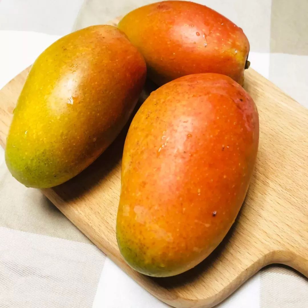 tina jacobson tweet media