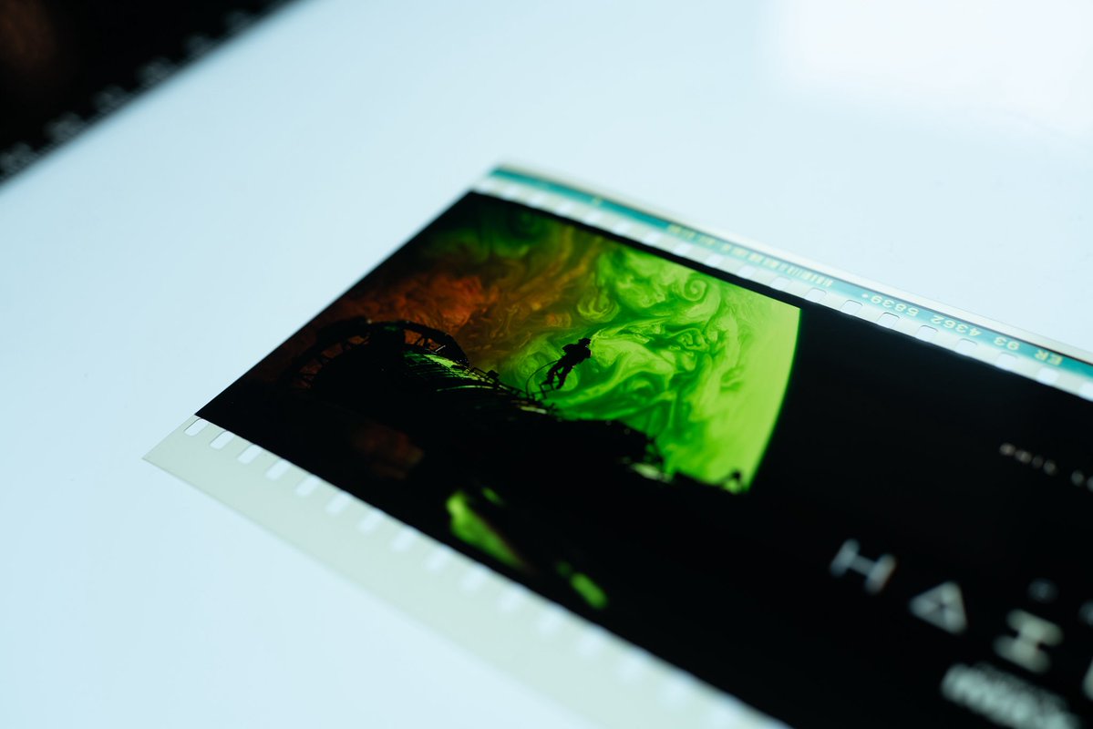 patrick. tweet media