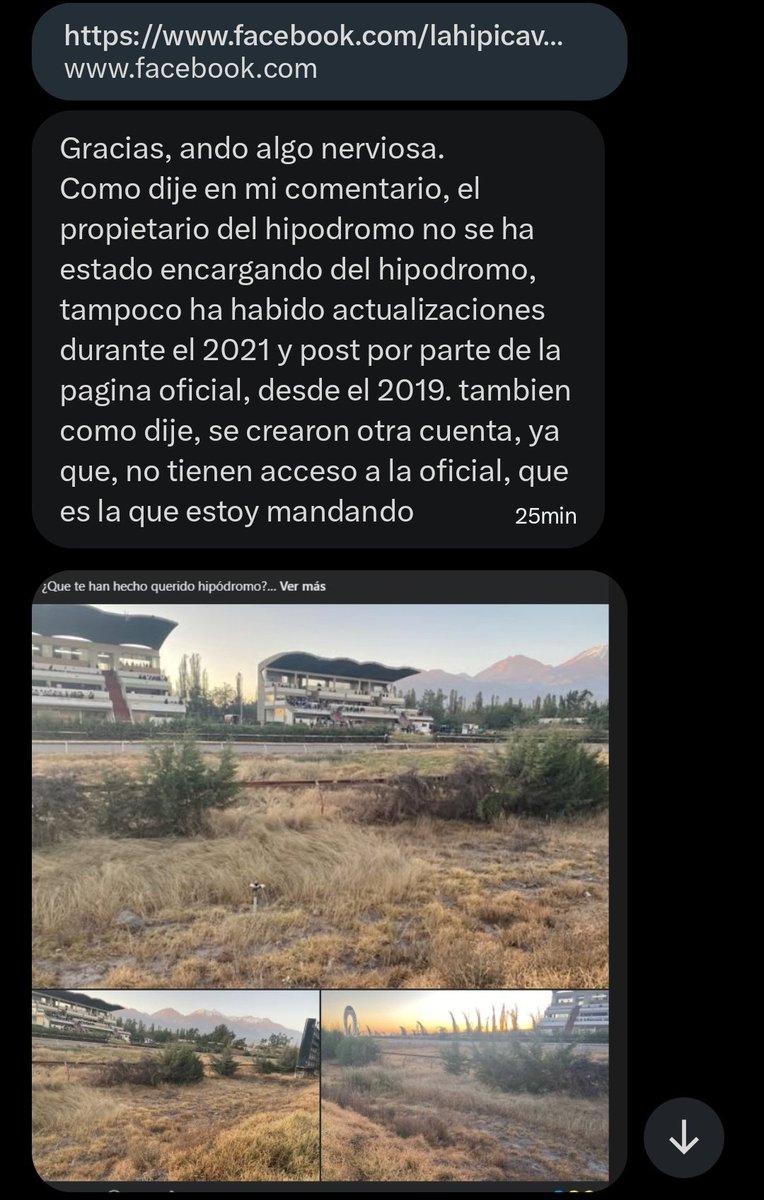 Tracen Academy Oficial 🎓 tweet media