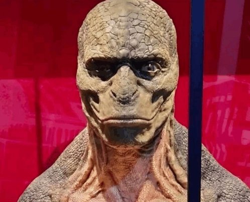 PROBABLEMENTE_69 tweet media