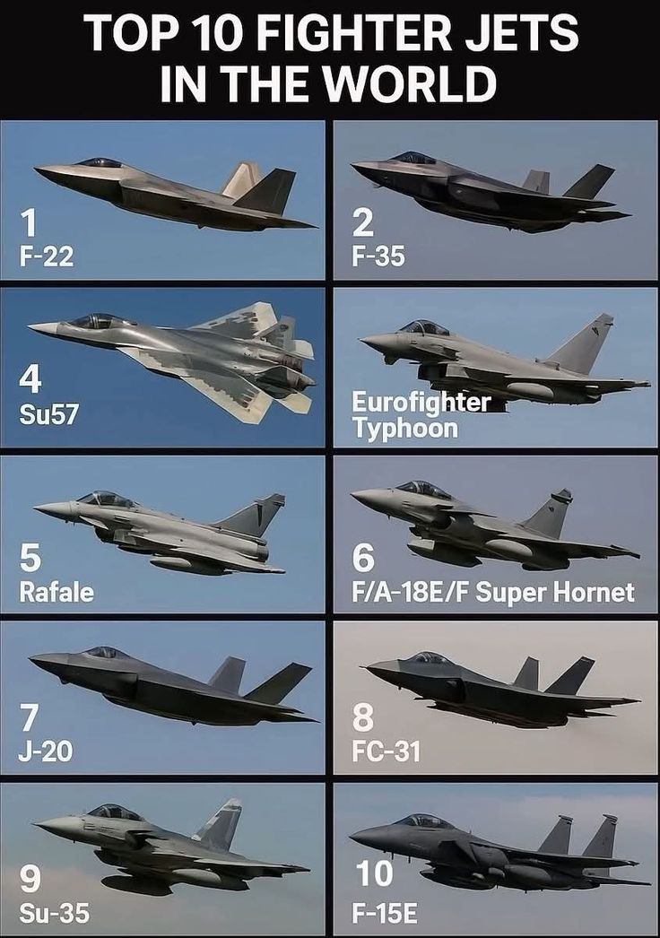 Gun Fanatics tweet media