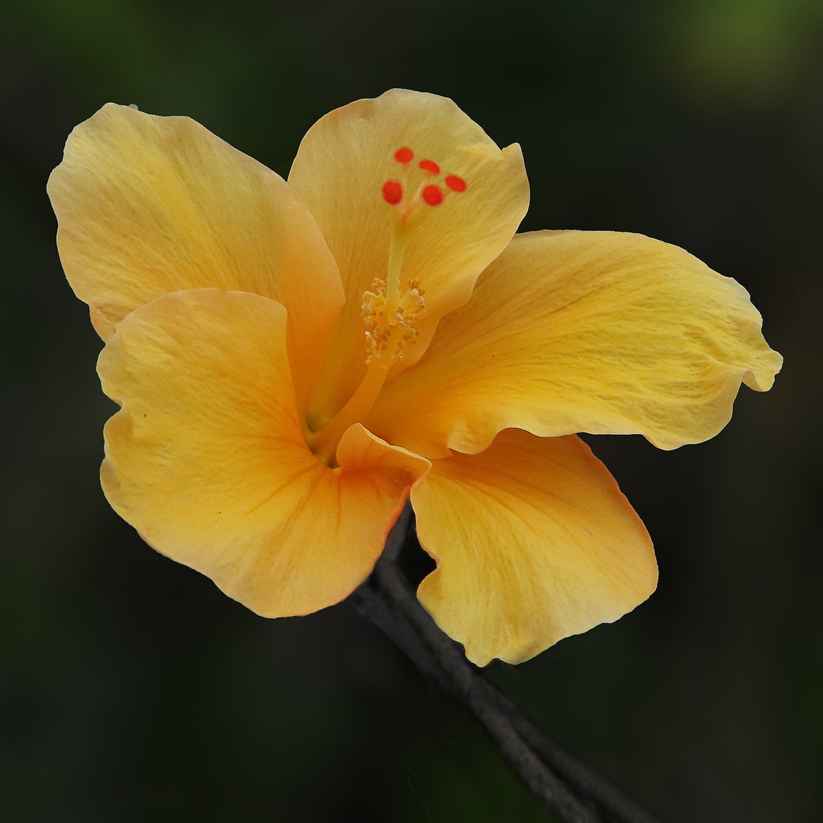 Photography Tricks and Tips tweet media