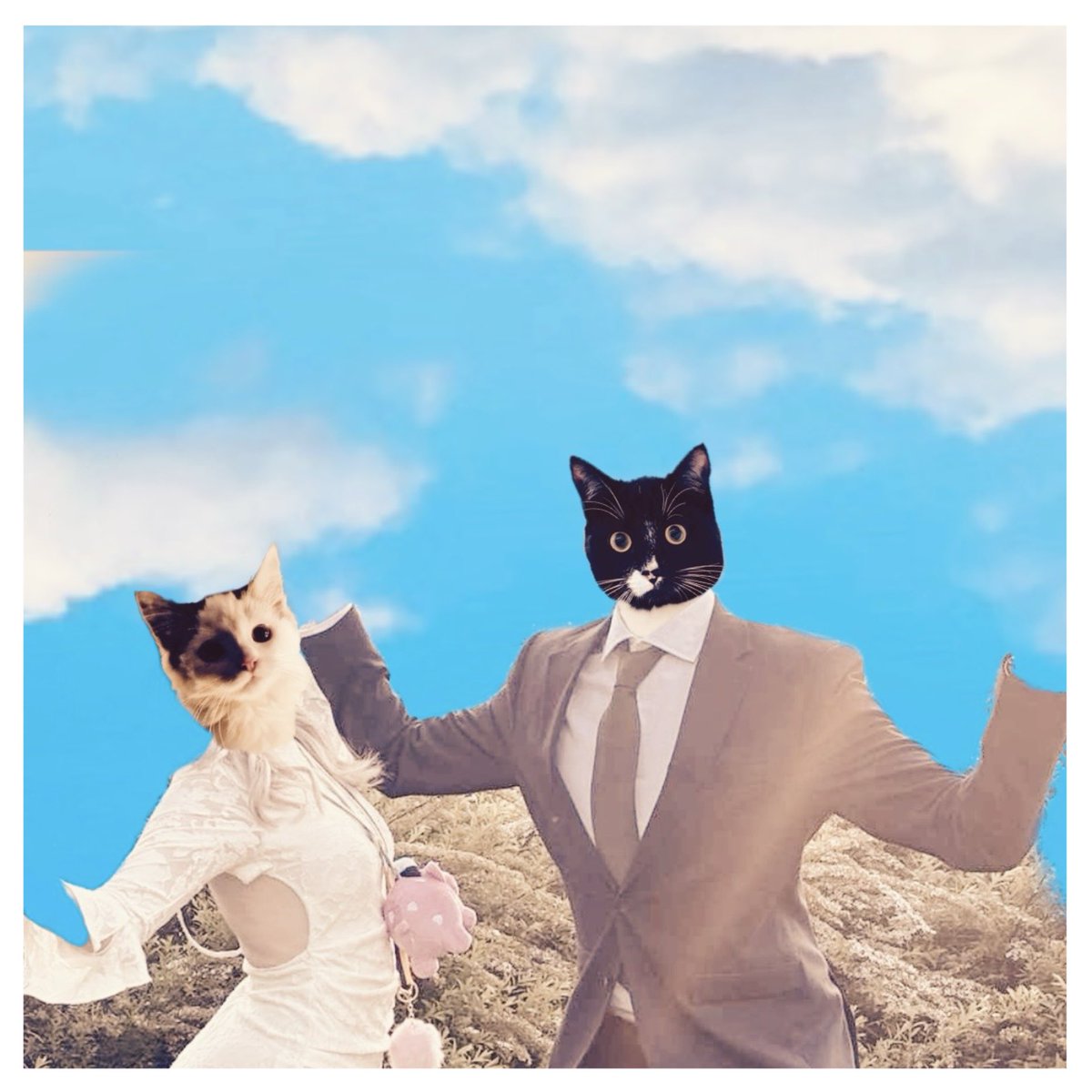 Arvid Strand tweet media