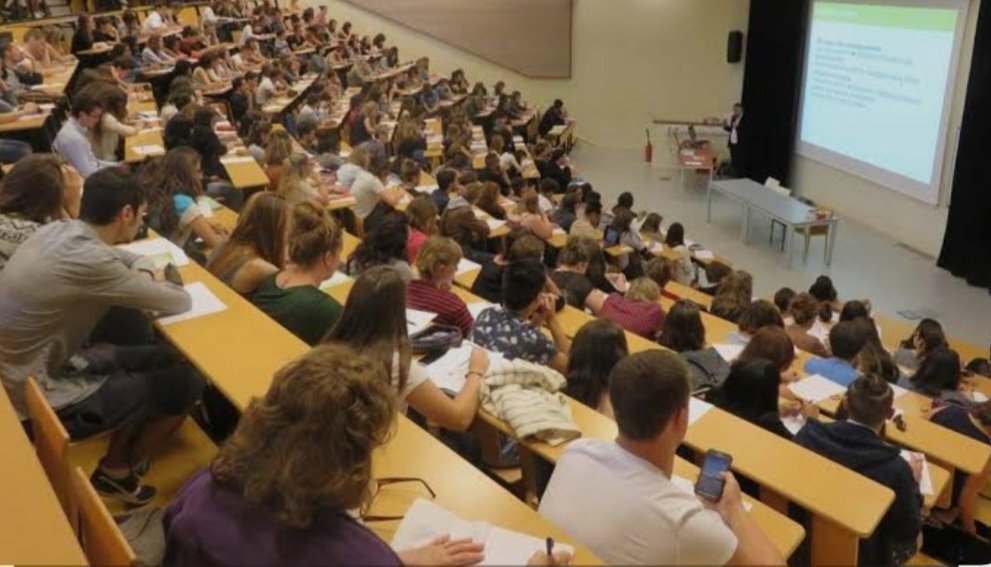 İlter Yeşiltaş tweet media