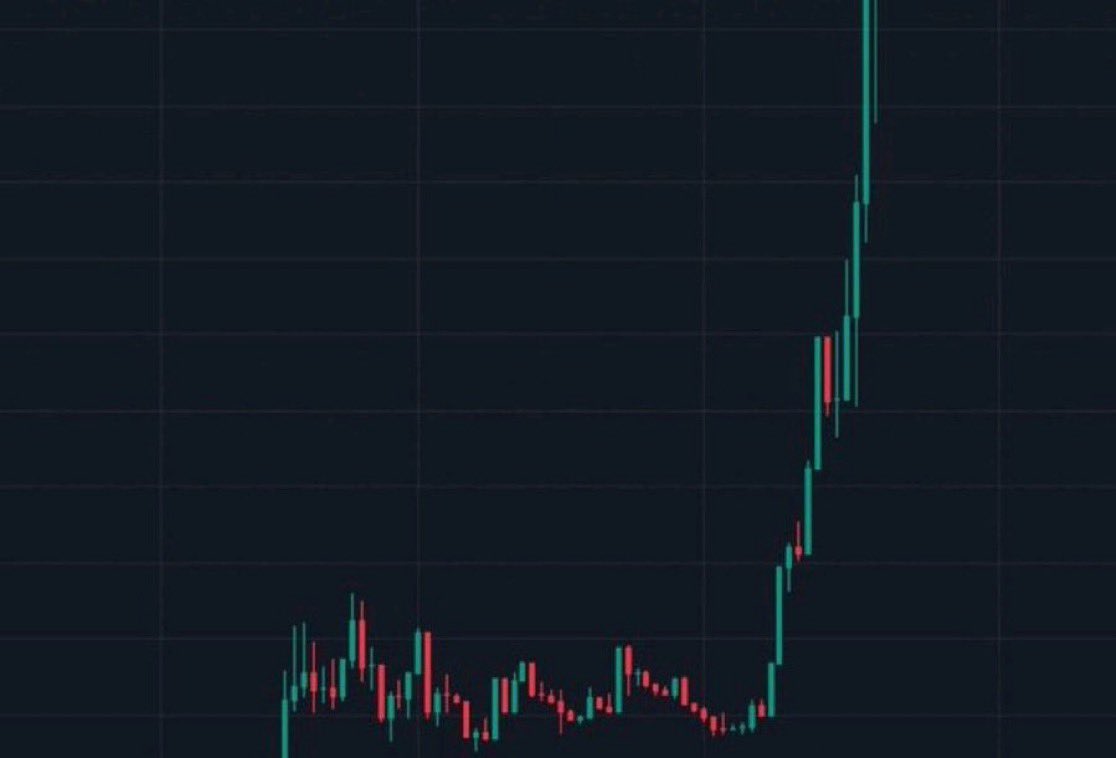 Whale Crypto Gems tweet media