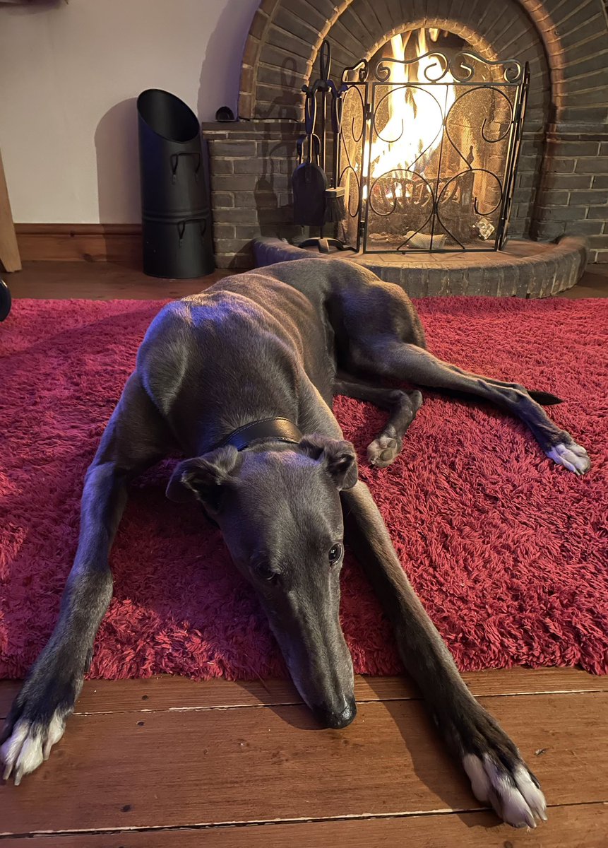 Fergal O'Brien Racing tweet media