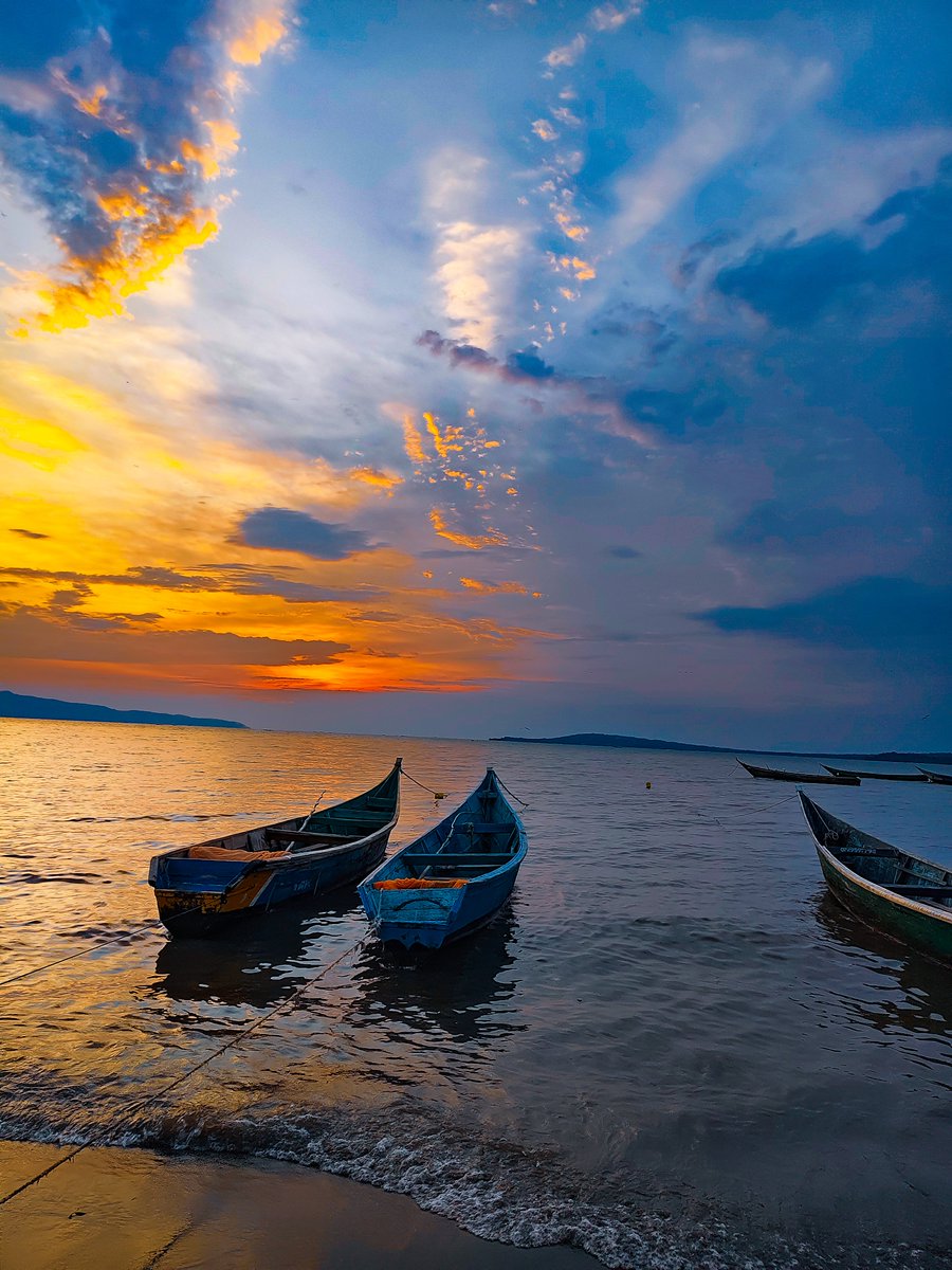 Msafiri Afrika tweet media