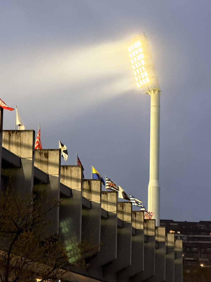 The Wolf Jr 🐺 tweet media