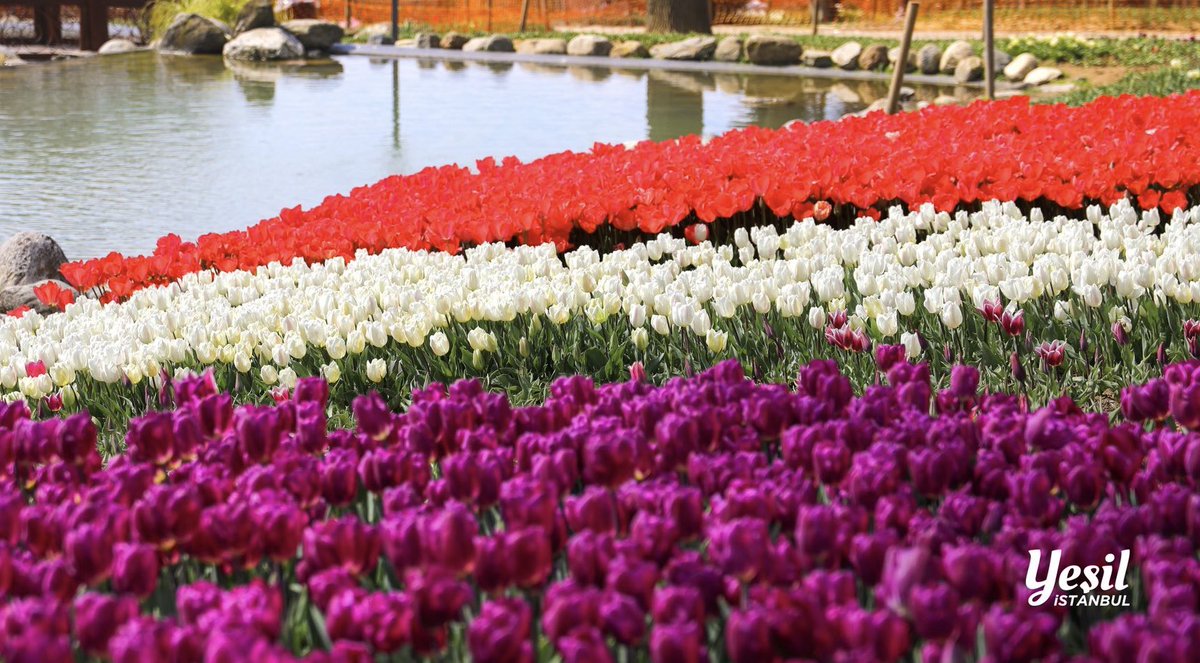 Istanbul Metropolitan Municipality tweet media