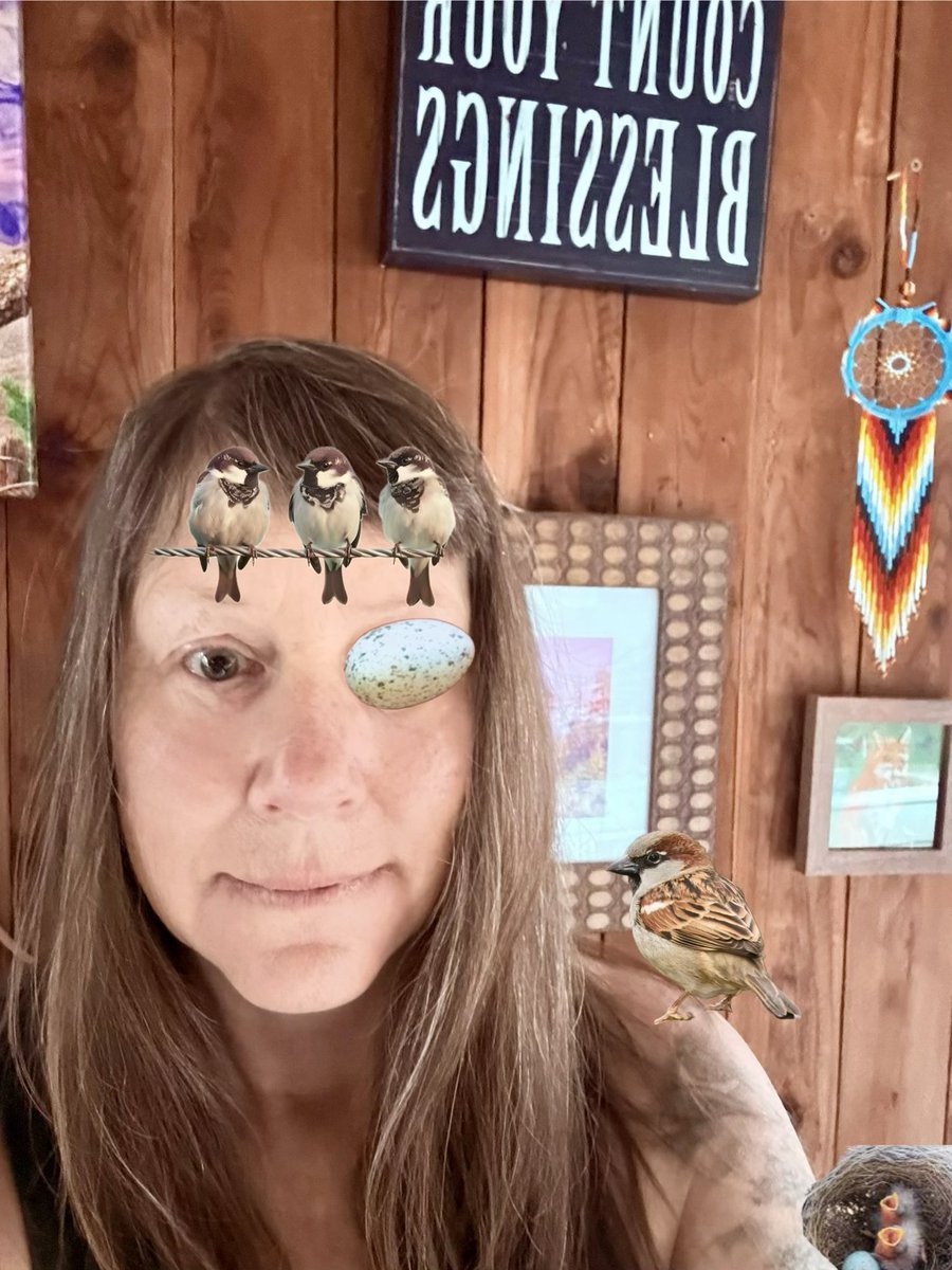 JulesInDaMountains TM tweet media