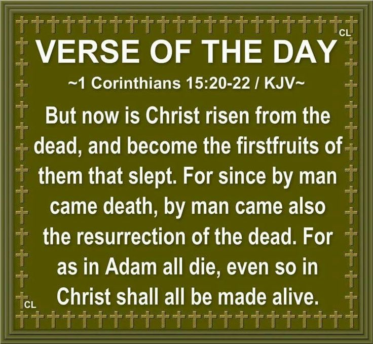 Michelle tweet media