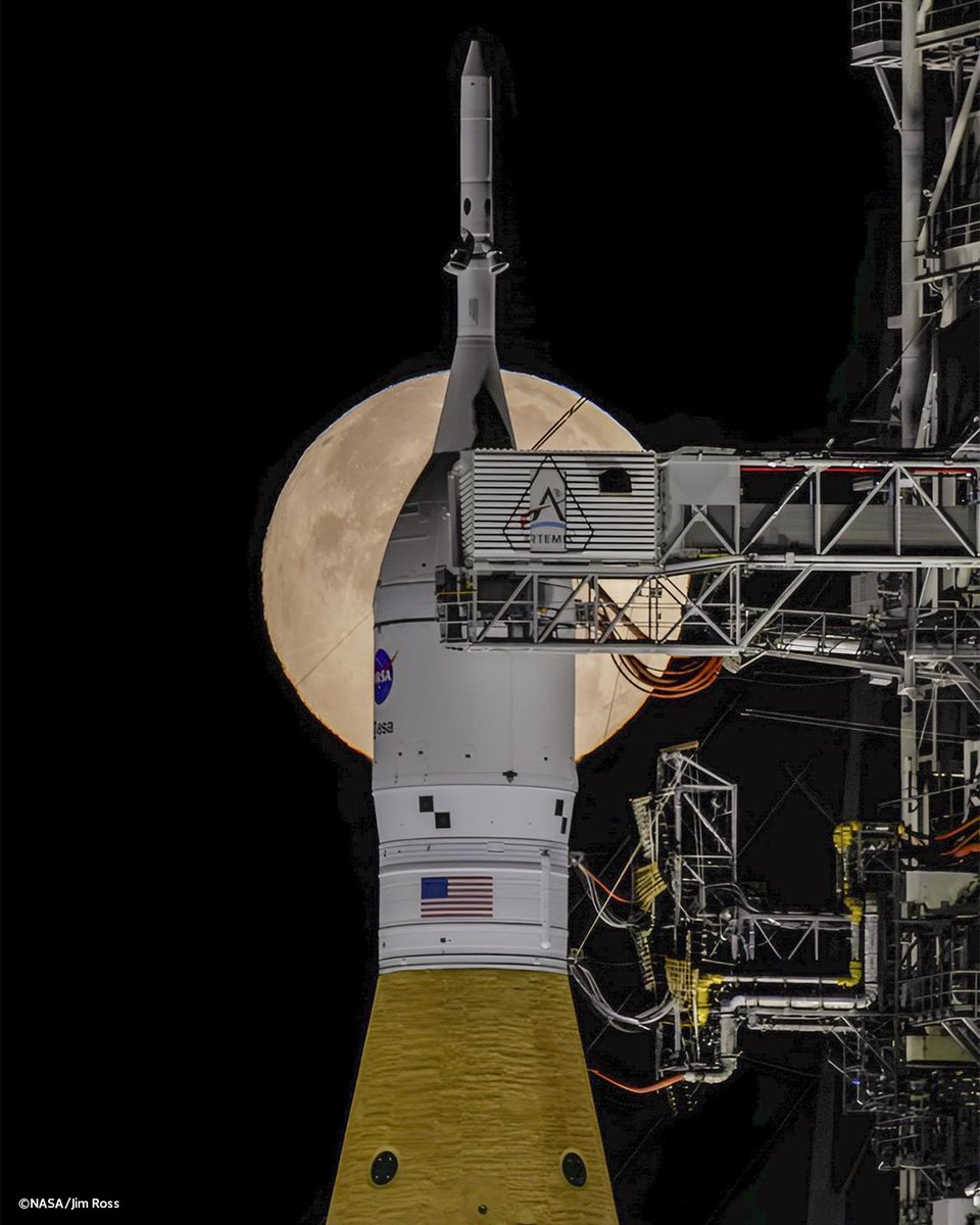 Leonardo tweet media