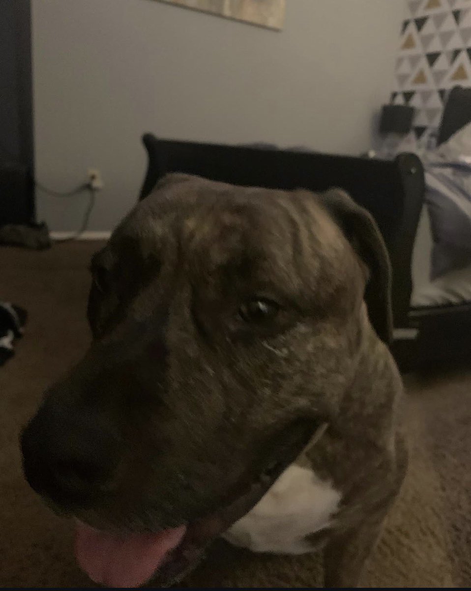 𝙍𝙞𝙥 tweet media