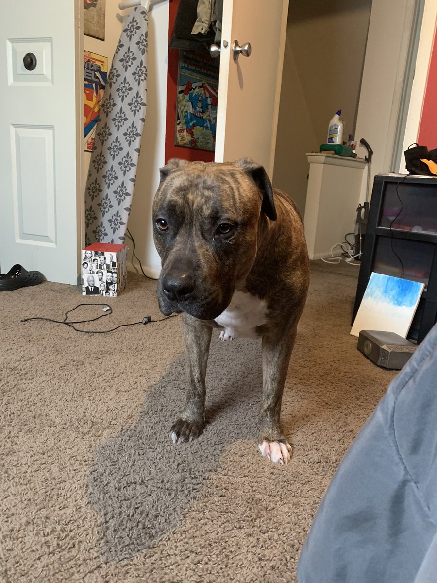 𝙍𝙞𝙥 tweet media