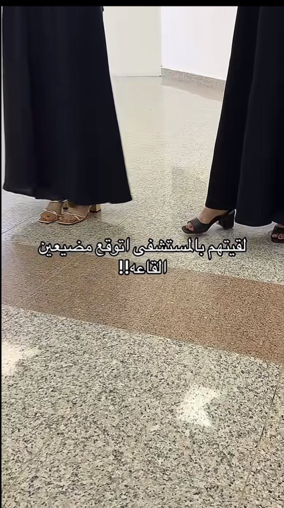 نولا. tweet media