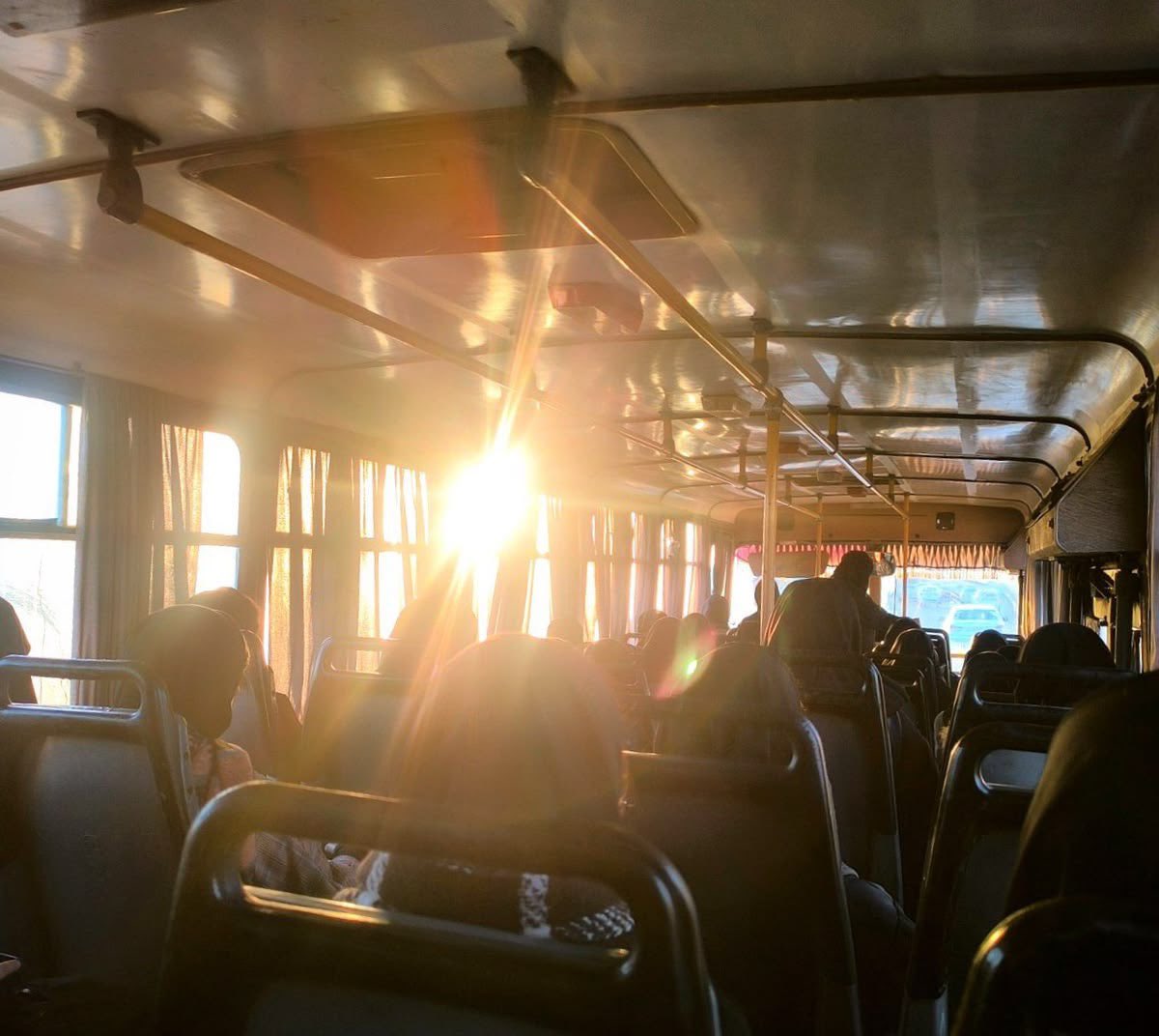 alin🪭 tweet media