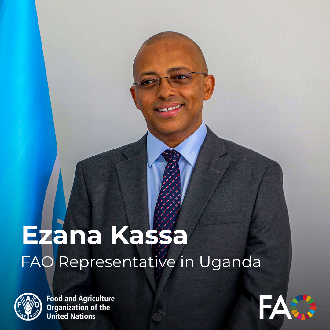 FAO in Uganda tweet media
