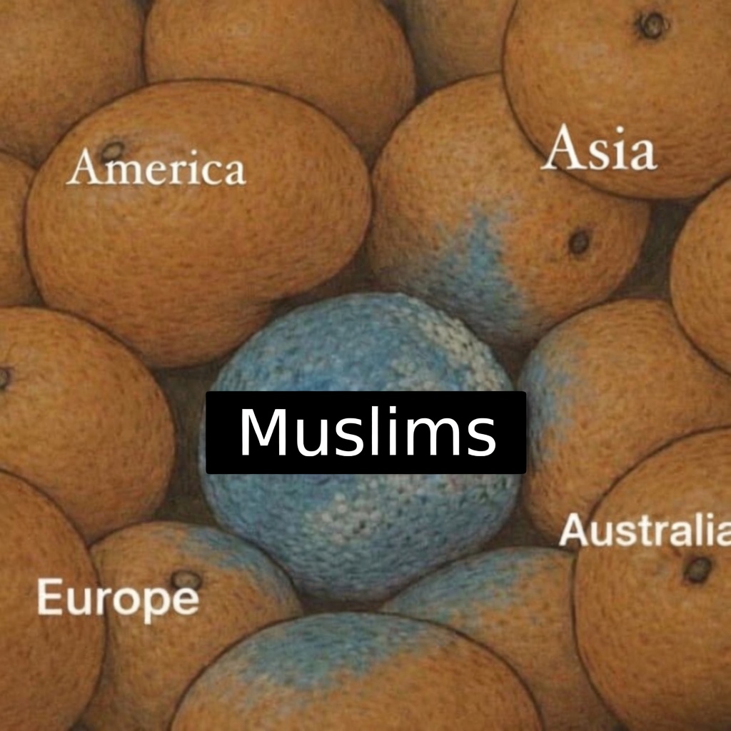 AnjouSeb tweet media