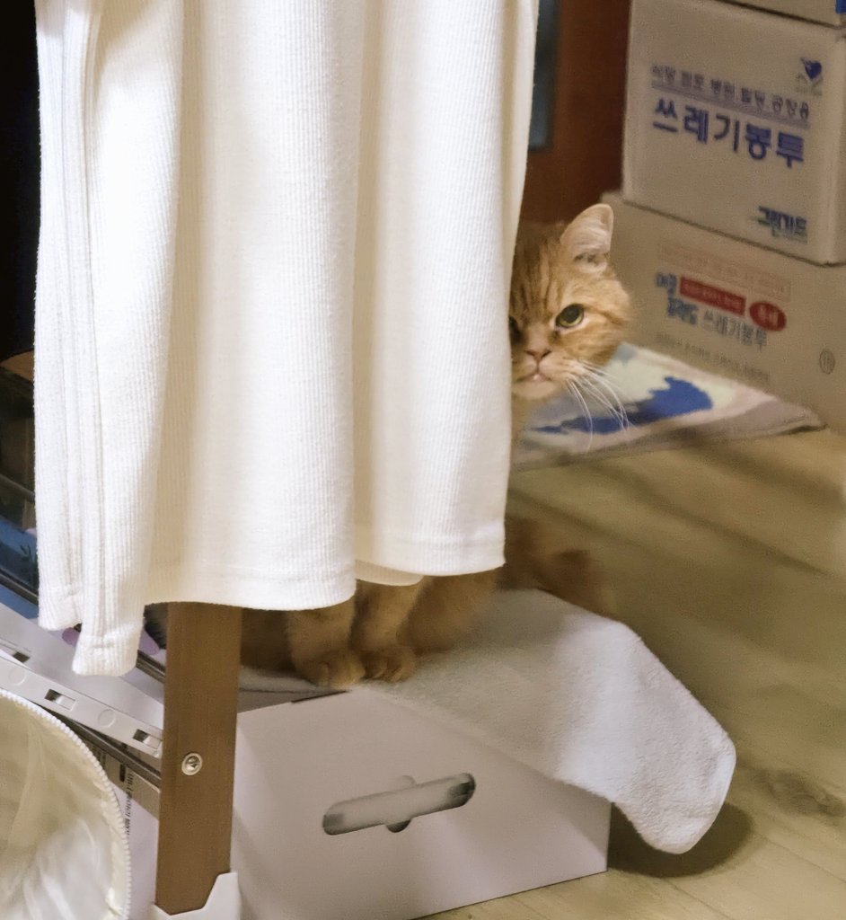Churu_LoveS2's tweet photo. 아 왜 자꾸 훔쳐봐 https://t.co/Zcyu8rHBUa