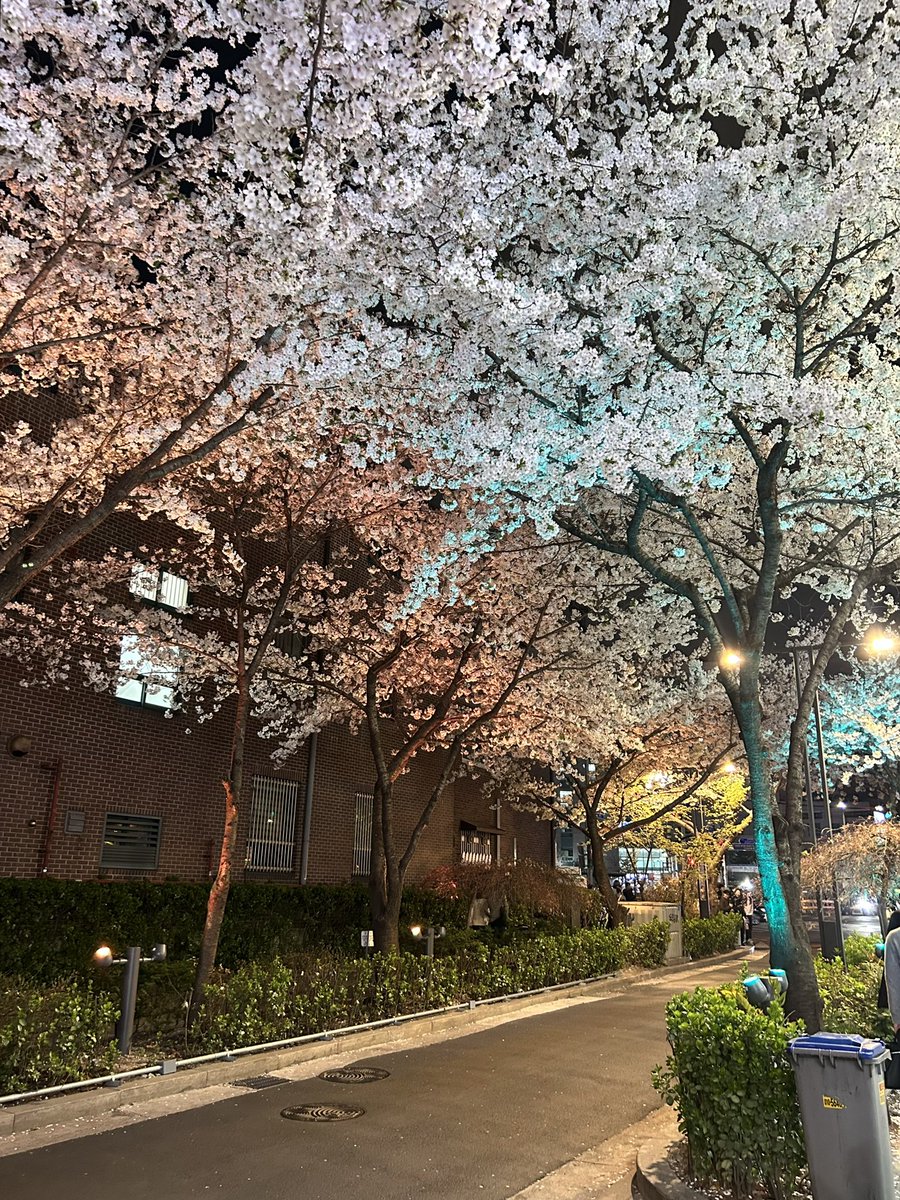 놀고먹고싶은개미 tweet media