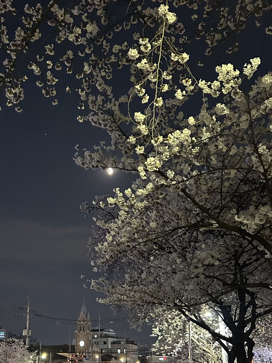 놀고먹고싶은개미 tweet media