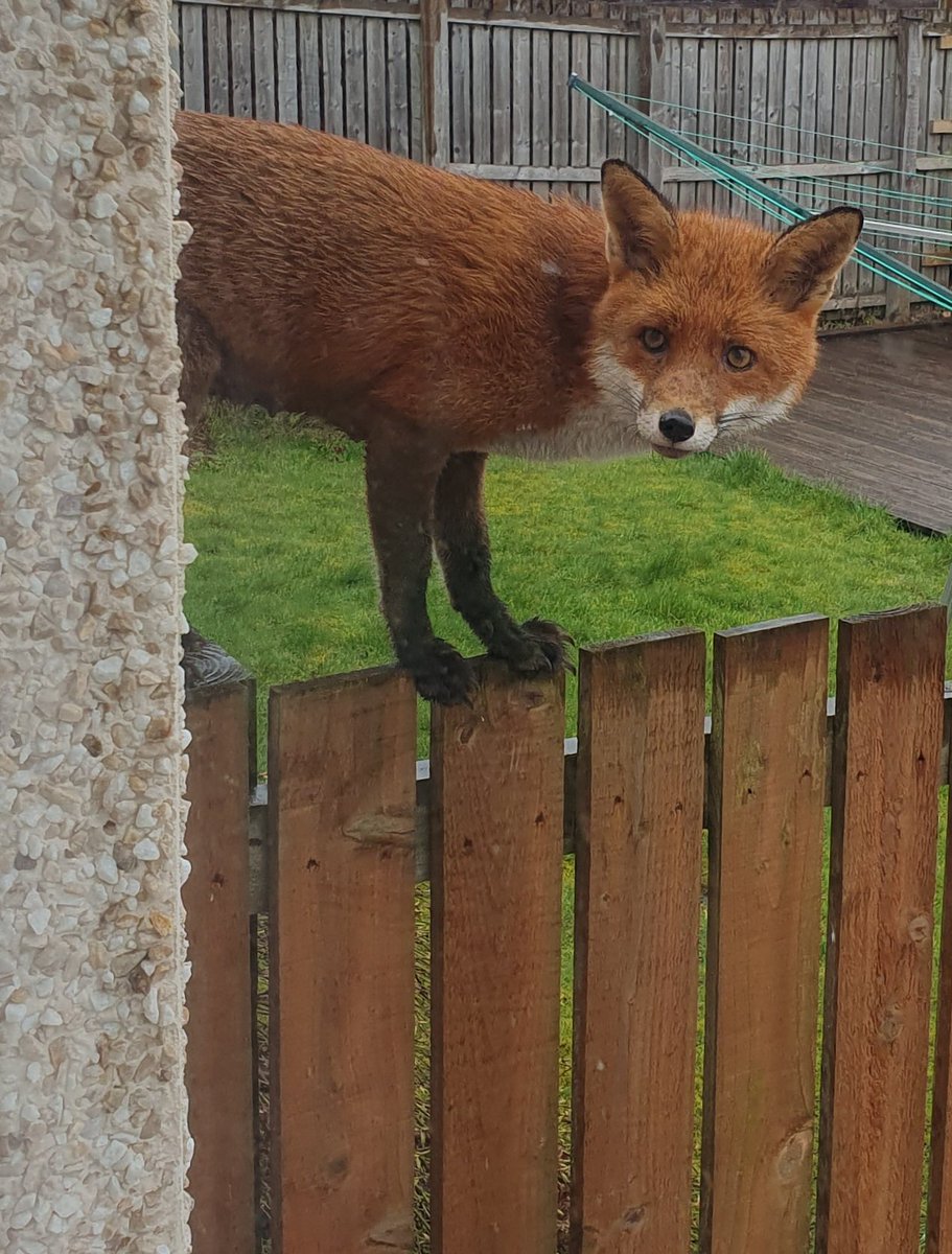 Siobhean 🖤 tweet media